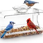 Transparent acrylic window bird feeder with a removable tray, mounted on a clear window, ready for bird seeds.