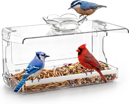 Transparent acrylic window bird feeder with a removable tray, mounted on a clear window, ready for bird seeds.