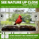 Transparent acrylic window bird feeder with a removable tray, mounted on a clear window, ready for bird seeds.
