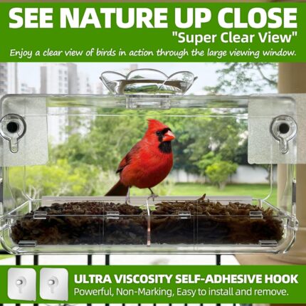 Transparent acrylic window bird feeder with a removable tray, mounted on a clear window, ready for bird seeds.