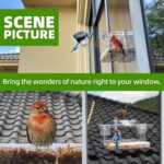 Transparent acrylic window bird feeder with a removable tray, mounted on a clear window, ready for bird seeds.