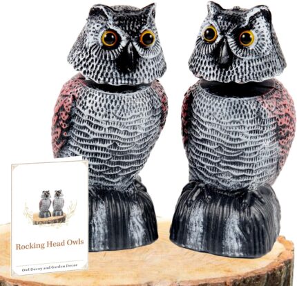 Two WonderField 8.3-inch brown bobblehead owl decoys with yellow eyes, positioned outdoors in a garden setting.