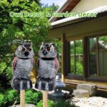 Two WonderField 8.3-inch brown bobblehead owl decoys with yellow eyes, positioned outdoors in a garden setting.
