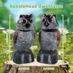 Two WonderField 8.3-inch brown bobblehead owl decoys with yellow eyes, positioned outdoors in a garden setting.